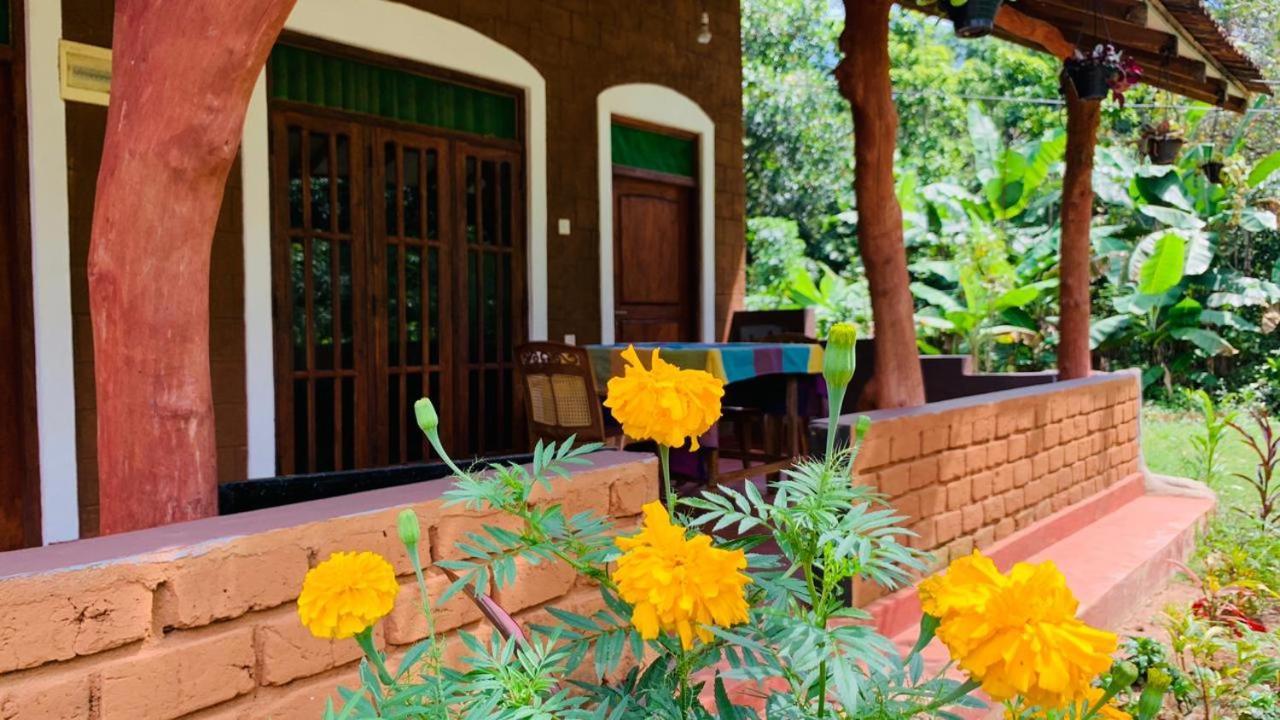 Sigiriya Chena Villa Buitenkant foto