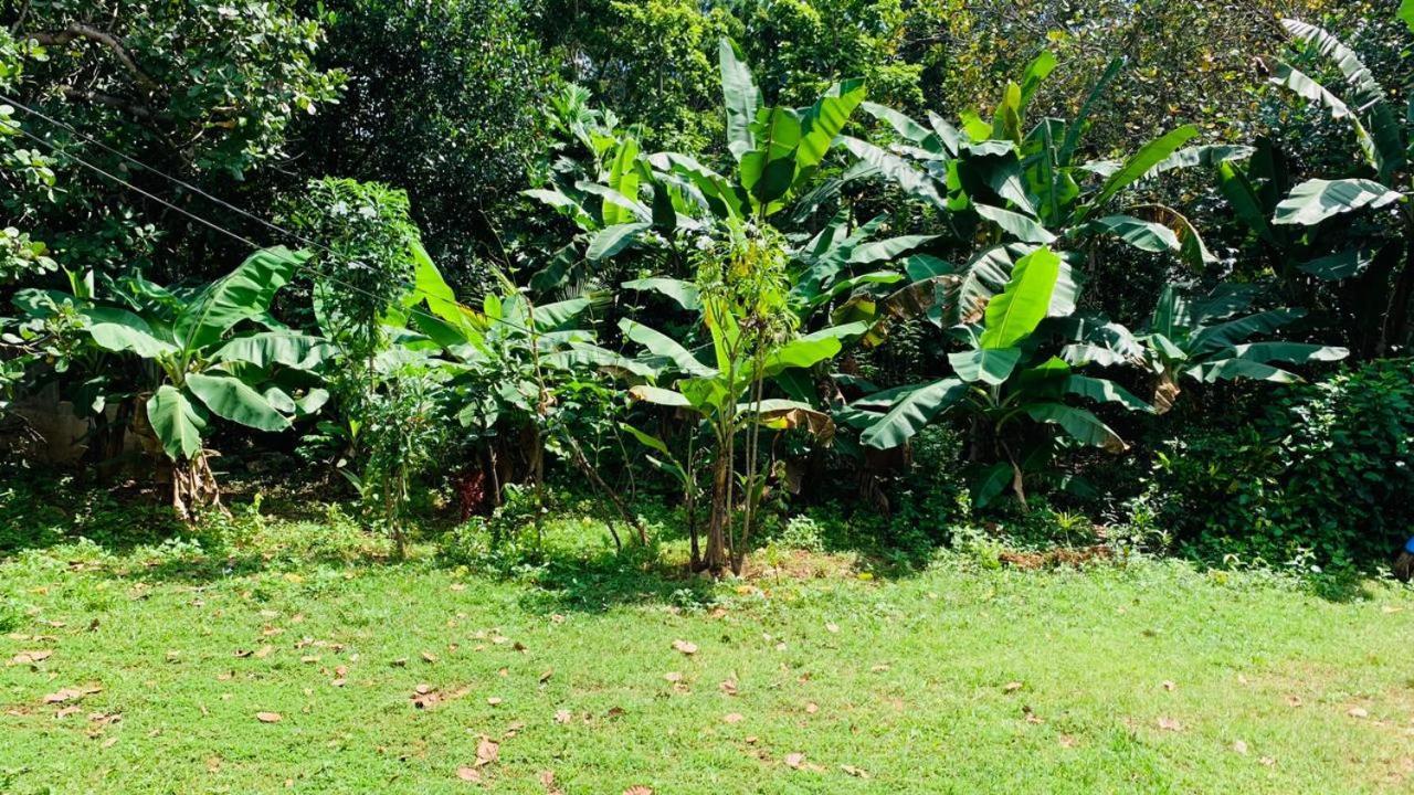 Sigiriya Chena Villa Buitenkant foto